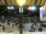 Die Bahnsteighalle des Gare de Lyon bei Nacht. Aufgenommen am 22.2.2008.