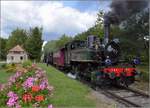 Dollertalbahn, ein kaum bekanntes Museumsjuwel.

In Aspach Gare sind vor allem die Blumenbeete gepflegt. Malletlok 020+020T système Mallet n° 10416 von Henschel wartet vor dem Bahnübergang auf die personalintensive Kreuzung mit dem Straßenverkehr. August 2017.