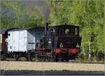 CFTR, die charmante Museumsbahn im Neubreisacher Urwald.