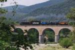 Auf der Strecke des Train  vapeur des Cvennes werden viele Kunstbauten genutzt um durch die gebirgige Landschaft der Cevennen zu fahren.