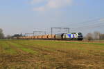 Belgiën  Lok 4008 Europorte mit Güterzug in Lokeren  7/3/2024