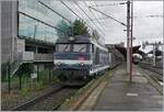 Für mich gehören diese Diesellok zu den schönsten Dieselloks in Frankreich und so habe ich auch die BB 67591, die in Strasbourg mit ihrem TER 830716 auf die Abfahrt nach Lauterbourg
