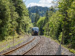 SNCF  Baleines bleues  X73754 und 73753 am 1. Juni 2019 auf dem Weg von Besançon nach La Chaux-de-Fonds kurz vor dem ehemaligen Bahnhof von Villers-le-Lac.