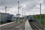 In Meroux kreuzen sich der aus Delle kommende der SNCF Coradia A-TER X 73756  Baleine  als TER 8950008 nach Belfort und der Gegenzug, der  SNCF Coradia A-TER X 73755  Baleine  als TER 8950011 von Belfort nach Delle. 

20. Mai 2026