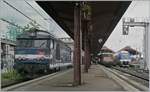 In Strasbourg, auf Gleis 33 zeigt sich die BB 67591 bei der Bereitstellung ihres TER 830716 nach Lauterbourg, in der Bildmitte, etwas im Hintergrund ist die SNCF BB 25664 und der Dieseltriebzug X