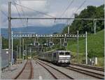 Bei der westlichen Bahnhofsausfahrt von La Plaine, welche mit SBB Signalen  geschmückt  ist, verlässt in Kürze die SNCF BB 22371 mit ihrem TER nach Lyon die Schweiz.

28. Juni 2021