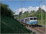 Ebenfalls kurz vor der Steinbogenbrücke, die sich auf dem halben Weg zwischen Satigny und Russin befindet und im Hintergrund erkennbar ist, schiebt die SNCF BB 22360  Nez cassé  ihren TER in