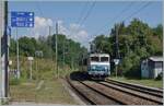 Die SNCF BB 22391 ist mit ihrem TER 96564 von Genève nach Lyon unterwegs und fährt durch den Bahnhof von Pougny-Chancy. 
Interessant sind links im Bild die Hinweisschilder, in Pougny-Chancy gibt es statt wie sonst oft in Frankeich üblich kein Gleise  A  und  B , sondern den Bahnstieg 1 und 2, zudem sind die Pfeile ernst zu nehmen, von einen Bahnsteig zu andern andern oder zum Ausgang muss man die Gleise überqueren, der Übergang ist vom Fotostandpunkt aus hinter meinem Rücken rechts und folglich nicht zu sehen. Bei  einer nahenden Zugsdurchfahrt warnen rote Lampen.

6. Sept. 2021