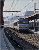 Die  farblose  SNCF BB 22363 passt mit ihrem TER recht gut ins Gegenlicht.