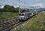 Der Grund, weshalb mich mir erneut nach Vernier begab war die SNCF Nez Cass�; �berraschenderweise war an diesem Tag zu meiner Freude die SNCF 22391 an der Spite des Zuges zu sehen und somit perfekt im Licht. Durch die ungewisse Reihung des Zuges (Lok an der Spitze oder am Schluss) musste ich eine Fotostelle finden, die beiden Eventualit�ten gerecht wird. F�r die Gegenleistung fuhr ich dann nach La Plaine, statt wie erst geplant nach Gen�ve. 
Die SNCF BB 22391 ist mit ihrem TER 96605 von Grenoble nach Gen�ve unterwegs und erreicht den Bahnhof von Vernier. 

1. Juni 2026