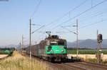 25615 mit dem TER31316 (Sélestat-Strasbourg) bei Ebersheim 5.7.19