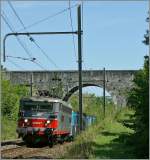 Die von der SBB gemietet SNCF BB 25 547 auf der Fahrt nach La Plaine kurz vor Russin.
5. Sept. 2008