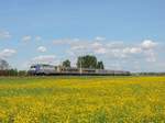 Schwindratzheim, 15. Mai 2017 : 26143 im TER Grand Est Design am 830122 Strassburg - Saarburg.