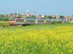 BB 26143R mit einem TER 200 Basel - Nancy. (Hochfelden 16/09/2014)