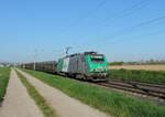 Melsheim - 20. April 2023 : BB 27099 mit einem Auto- und Getreidezug unterwegs in Richtung Strassburg.