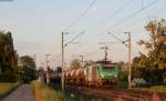 427040 mit einem Öler bei Hochfelden 18.5.15