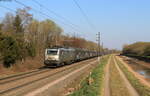 37004 mit dem 80402 (Mulhouse-Nord - Hagondange) bei Steinbourg 23.3.22