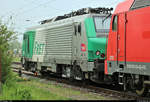437026 (91 87 0037 026-8 F-AKIEM | Alstom Prima EL3U/4) der Akiem S.A.S., vermietet an die ITL Eisenbahngesellschaft mbH (ITL), ist zusammen mit 185 604-6 der RheinCargo GmbH & Co.