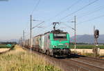 37046 mit dem 40360 (Gallarate-Muizen Goederen) bei Ebersheim 5.7.19