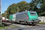 FRET 437018 am 9.10.10 in Ratingen-Lintorf