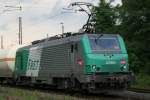 FRET 437011 am 30.6.11 in Ratingen-Lintorf