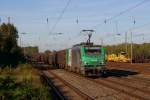 437 019 mit einem Gterzug in Dsseldorf-Rath am 29.09.2011