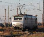Akiem 37 032 eine Alstom Prima EL3U/4 rangiert am 17.11.2012 in Grokorbetha.