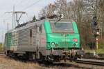 FRET 437019 am 1.3.14 in Ratingen-Lintorf.