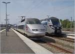 Saint-Malo gestern und HEUTE: Seit dem 11 Dezember 2005 kann die Strecke elektrisch befahren werden und somit können, neben den 18 BreizGo Zugspaare, auch direkte TGV Züge von und nach Paris Montparnasse verkehren. Je nach Wochentag werden 3 bis 4 Zugspaare angeboten, die Reise nach Paris dauert rund 2 1/2 Stunden, also fast eben so lange wie bei der Eröffnung der Strecke die Fahrt nach Rennes.

Im Bild der TGV Atlantique N° 360, welcher als TGV 8088 nach Paris fahren wird. 

6. Mai 2019