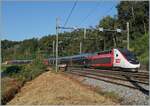 Auf einer Karte habe ich entdeckt, dass es von La Plaine (Schweiz) nach Pougny-Chancy (Frankreich) einen schönen Weg gibt, der zum grösstenteils der Bahnlinie folgt und dies erst noch lichttechnisch bevorzugten südlichen Seite. 
Und so machte ich mich auf, von La Plaine nach Pougny: Und schon nach kurzer Zeit entdeckte ich ein interessantes Motiv, den letzten Prellbock in der Schweiz, bzw. der westlichste...
ebenfalls spannend, die SBB-Wechselstromfahrtleitungsanlage für 25000 Volt, 50 Hertz, die hier noch die alten SNCF Gleichstrommaste nutzt. 
Und damit die vielen Details gezeigt werden können, ziert der Lyria TGV 9761 von Paris Gare de Lyon nach Lausanne bestehend aus dem Rame 4717 das Bild. 

6. September 2021