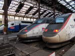 Hier stehen drei TGV's im Pariser Bahnhof Paris Gare de Lyon im Sommer 2016.