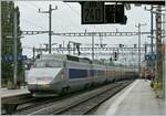 Der SNCF TGV 110 verlässt als TGV Lyria Neuchâtel in Richtung Paris Gare de Lyon. 

2. Oktober 2008