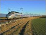 Die 180° Kurve auf dem praktisch freien Feld bei Arnex eignet sich besonders im Winter ausgezeichnet, eine ganzen TGV aufs Bild zu bekommen, und da die TGV hier nicht allzu schnell fahren, gelang