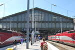 Das große Dach vom Pariser Nordbahnhof und die Thalys-Züge am Bahnsteig (31. Juli 2022)