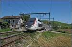 Der TGV Lyria Rame 4406 ist bei Russin auf der Fahrt von Genève nach Paris Gare de Lyon. Leider hat die SBB CFF Strecke Genève - La Plaine durch die (notwendige) Umstellung von Gleich- auf Wechselstrom etwas der besonderen, noch aus der PLM Zeit stammenden Ambiente verloren. 

19. Juni 2018
