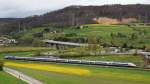 Eine Lwenzahnwiese bildet die Kulisse fr den TGV 4418 auf dem Weg nach Zrich. Sissach im Baselbiet am 21.4.2012.