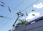 Stromabnehmer unter Palmen: ein TGV Duplex macht Pause in Hyeres/Cote d´Azur.