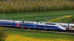 Der TGV Duplex 4705 trifft bei Sissach auf den ICE zwischen Wiesen mit Lwenzahn am 21.4.2012.