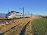 TGV 9264 auf der Fahrt von Lausanne nach Paris kurz nach Arnex am 23.