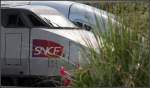 Versteckt hinter Grün - 

TGV-Impression vom Bahnhof Gare de Lyon in Paris. 

21.07.2012 (M)