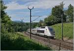 Der von Paris kommende TGV Lyria 9269 mit dem Triebzug (Rame) 4404 kurz vor Bussigny und damit kurz vor seinem Ziel Lausanne.