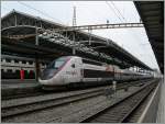 574,8 km/h - Weltrekord! Der Lyria Weltrekord TGV hat Lausanne erreicht und wird in Kürze wieder nach Paris zurück fahren, auch wenn besonders im Jura der Zug seine eindrückliche Höchtgeschwindigkeit bei weitem nicht ausfahren kann.
Lausanne, 27. Jan. 2016