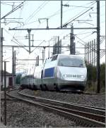 Ein TGV aus Richtung Paris kommend, durchfhrt am 21.09.08 die Kurve zwischen Bivange und Fentange auf seiner Fahrt nach Luxemburg.