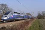 TGV 4717  bei Rastatt  03.03.13