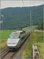 Leider längst Vergangenheit: TGV Lyria 9284 von Bern nach Paris hat Noiraigue verlassen und fährt nun in Richtung Travers.

22. Juli 2010. 
