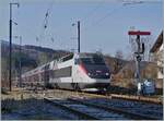 Manchmal haben Züge Verspätung, hier ist es das Foto: Ganze zwei Jahre musste ich auf dieses Bild warten: TGV mit (SNCF) Formsignal!  Um so mehr freute ich mich, dass der TGV 6467 von Paris