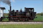 CFTR, die charmante Museumsbahn im Neubreisacher Urwald. Vorbeifahrt 030 TB 134  Theodor  in der Botanik entlang des Rheinseitenkanals. April 2019.