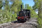 CFTR, die charmante Museumsbahn im Neubreisacher Urwald.