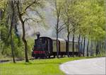 CFTR, die charmante Museumsbahn im Neubreisacher Urwald. Fahrt des Museumszuges zur Bereitstellung nach Sanssouci mit 030 TB 134  Theodor . Baltzenheim, April 2019.