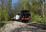 CFTR, die charmante Museumsbahn im Neubreisacher Urwald.